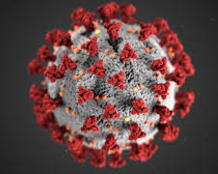 Image of Richard Crosse Coronavirus Update - 17.03.20