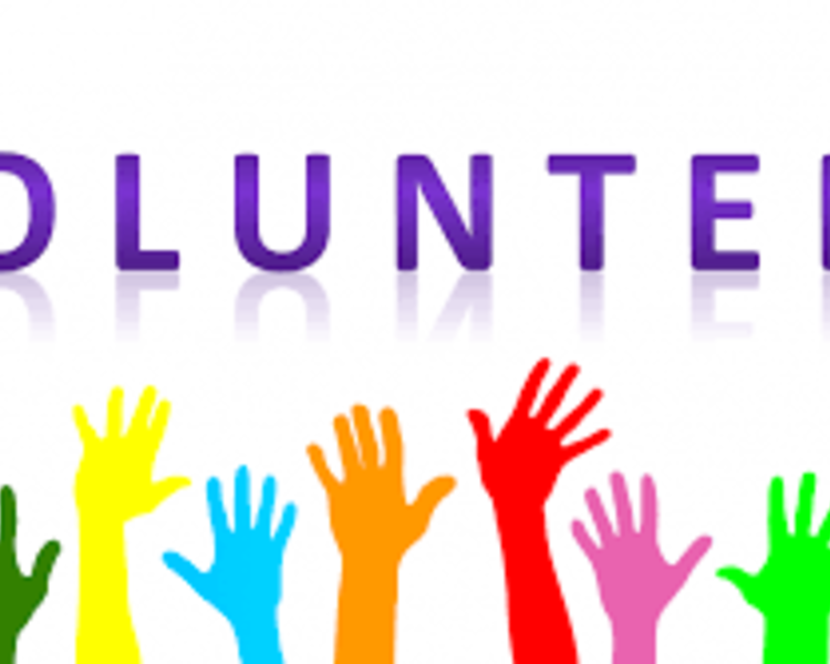 Image of We're looking for volunteers